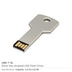 Key Shaped USB-7-SL