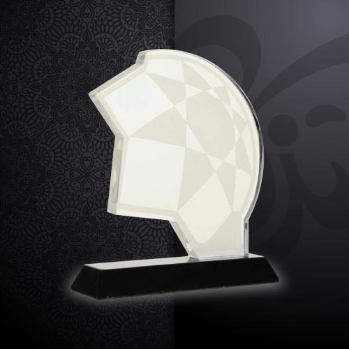 custom award trophy 15