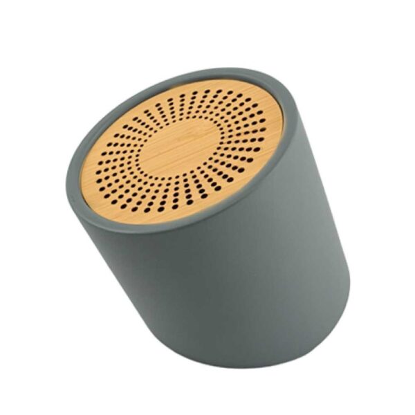 Bluetooth Speakers V5.0