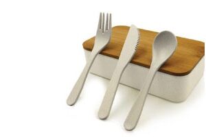 Eco-friendly Lunch box