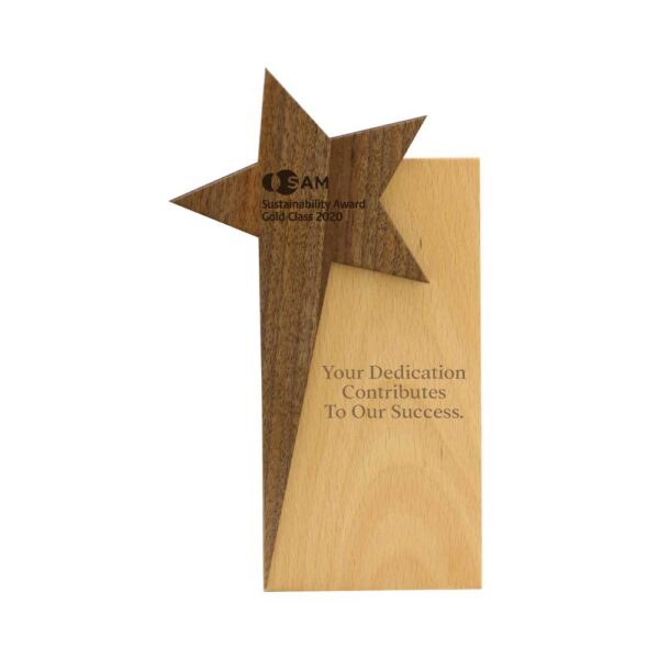 Engraved Star Design Wooden Trophy