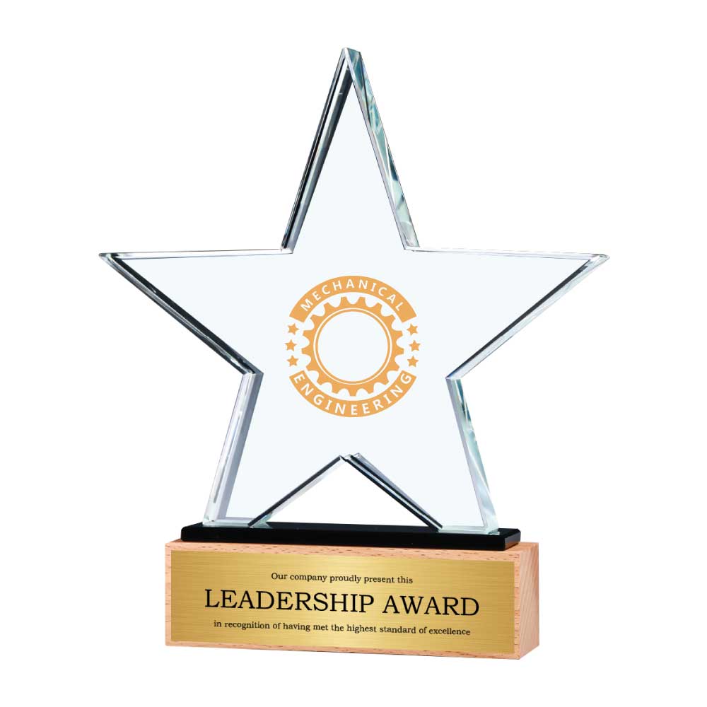 Branding-Star-Shape-Crystal-Awards-CR-55.jpg