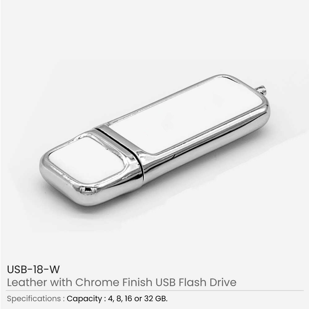 Leather-with-Chrome-Finish-USB-18-W.jpg