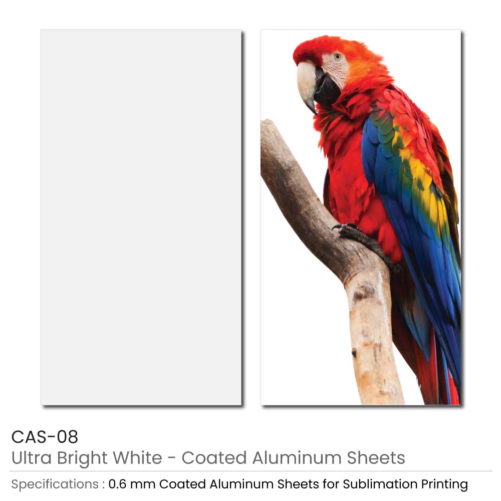 Coated-Aluminum-Sheet-CAS-08-1.jpg