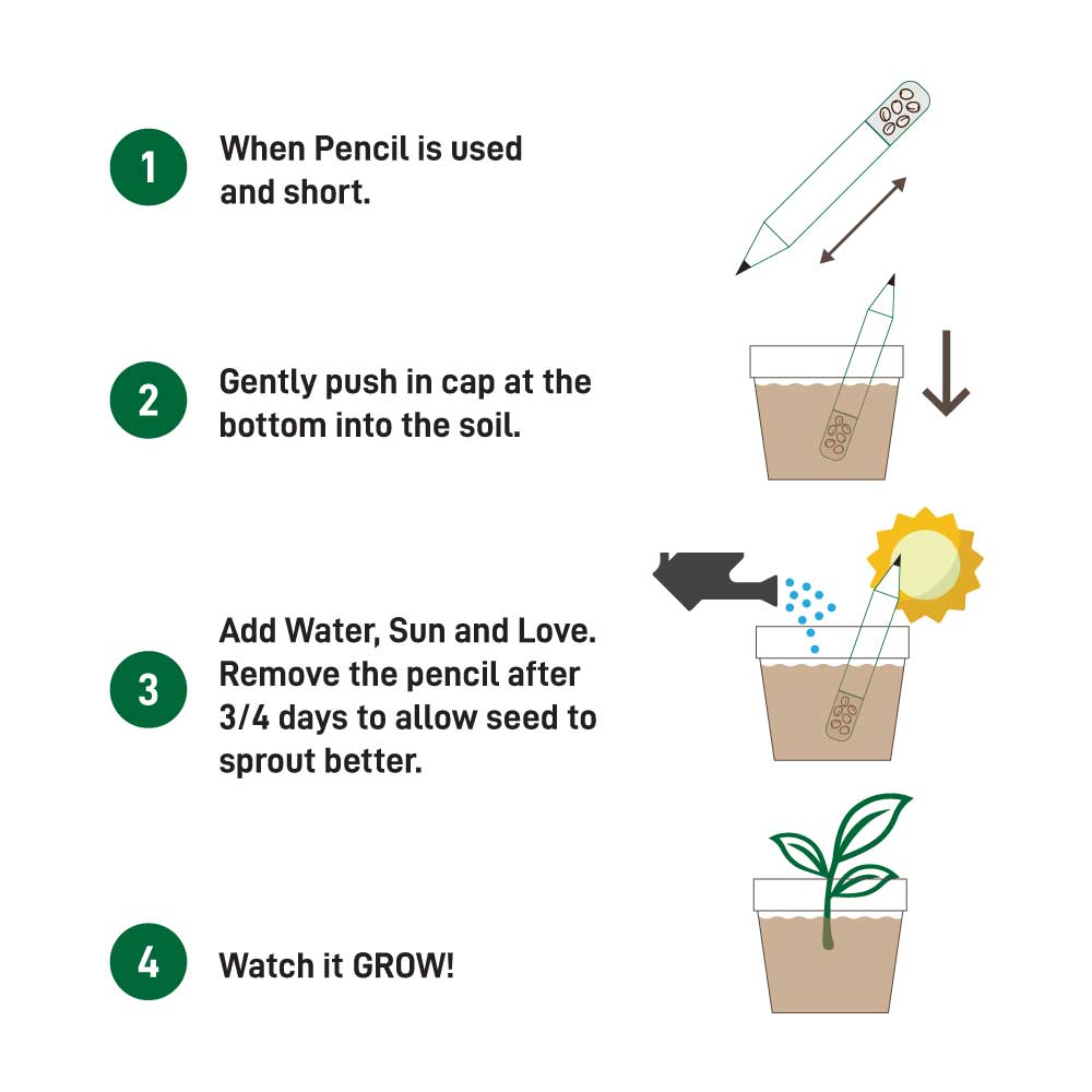 Plant-A-Pencil-Kit-SPS-02-03.jpg