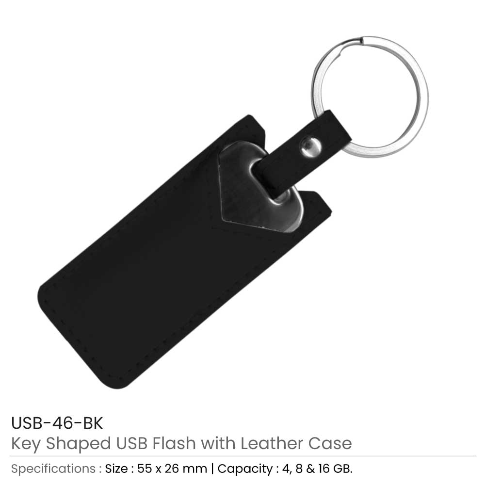 Key-Shaped-USB-with-Leather-Case-USB-46-BK.jpg