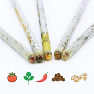 Plantable A Pencils Set - Image 5