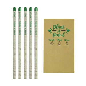 Plantable A Pencils Set - Ramadan Gifts - Image 6