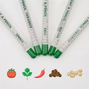 Plantable A Pencils Set - Ramadan Gifts - Image 4