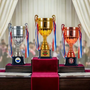 Metal Cup Trophies & Removable Ribbon Attached on Both Handles - Image 3