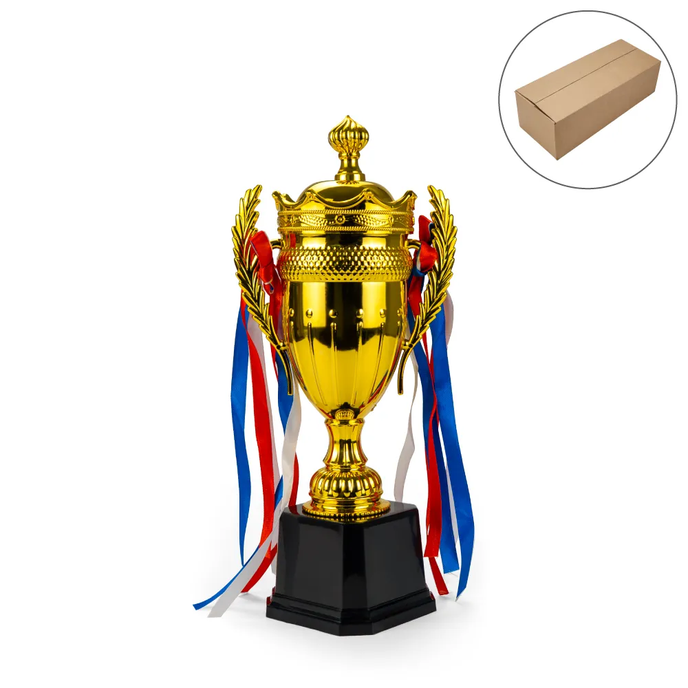 Small Cup Trophy, Removable Ribbon Attached to Both Handles - Corporate ...