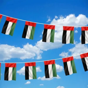 UAE String Flags and Flag Bunting 32Pcs - Image 4