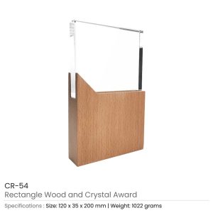 Rectangle Shaped Wood and Crystal Awards with Box - Image 4